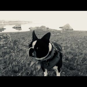 Meet your Posher, Ken